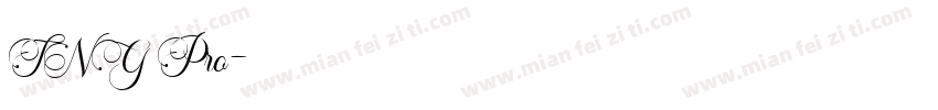 TNG Pro字体转换